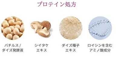 商品特徴【こだわりの美容成分】プロテイン処方