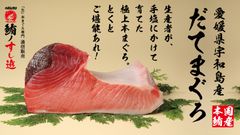 愛媛県産“だてまぐろ”を「生」の状態でお届け　アタラシイものや体験の応援購入サービス『Makuake』にて11月5日(木)より期間限定で応援購入プロジェクト開始！