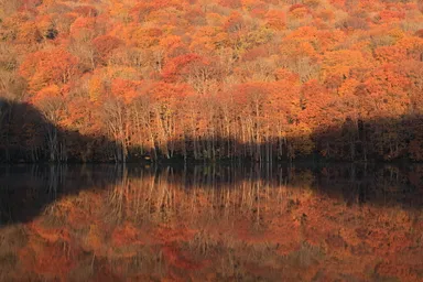 十和田八幡平国立公園紅葉