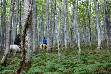プライベート乗馬体験