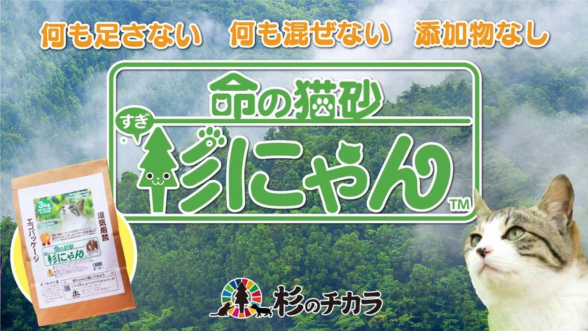 猫と飼い主と地球に優しい100％天然素材の猫砂『杉にゃん』、
Makuakeにてプロジェクト開始1時間で目標金額を達成