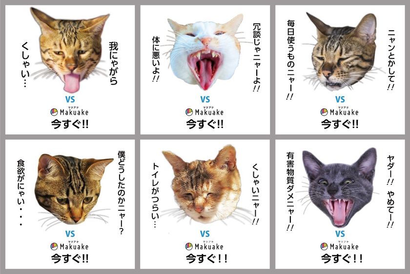 猫と飼い主と地球に優しい100 天然素材の猫砂 杉にゃん Makuakeにてプロジェクト開始1時間で目標金額を達成 杉のチカラ株式会社のプレスリリース 猫と飼い主と地球に優しい100 天然素材の猫砂 杉にゃん Makuakeにてプロジェクト開始1時間で目標金額を達成 杉のチカラ株式会社のプレスリリース