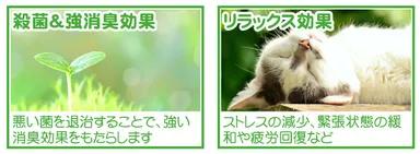 強力消臭・強力殺菌