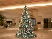 クリスマスツリー 2階エントランス(イメージ)