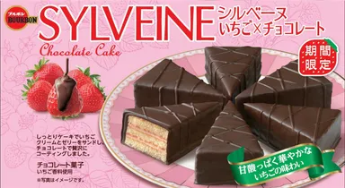 シルベーヌいちご×チョコレート