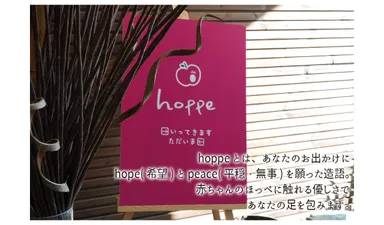 hoppeとは