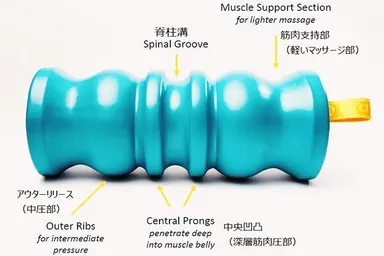 特徴的な形状は、骨格に沿って設計されています。