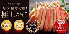 年末・お正月に！こだわり極上特大「生ズワイガニ」発売　「ざこばの朝市オンラインショップ」だけのオリジナル開発商品