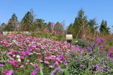 ガーデンミュージアム比叡