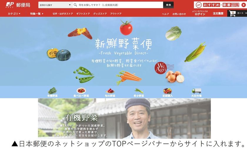 日本郵便のネットショップで旬な新鮮野菜を届ける通販サイトを開設
「新鮮野菜便 -Fresh Vegetable Direct-」 11月16日より販売開始