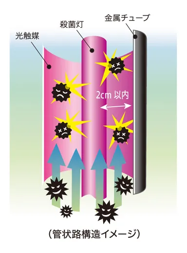 管状路構造イメージ