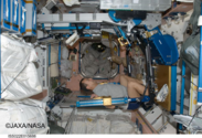 ISS滞在中に改良型 エクササイズ装置で運動を行う野口宇宙飛行士(JAXA/NASA提供)