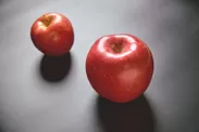 ジャンボな特Lサイズのリンゴを使用