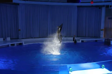 オーシャンライブ_2　※画像はイメージです。