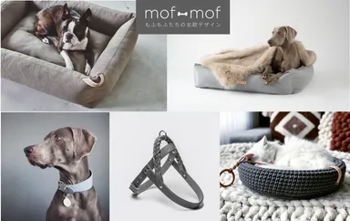 mof-mof ブランドコンセプト