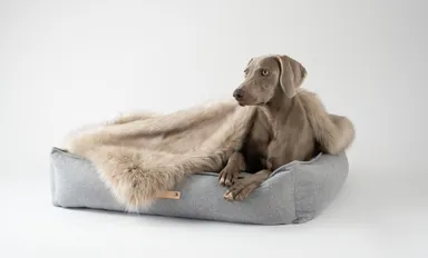 コンセプト内写真2