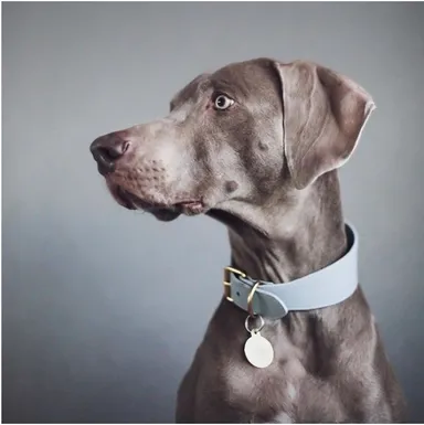 コンセプト内写真5