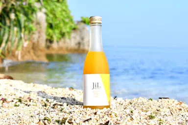 JiL PROJECT OKINAWA TANKAN GINGER 2020(1)