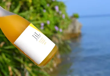 JiL PROJECT OKINAWA TANKAN GINGER 2020(3)