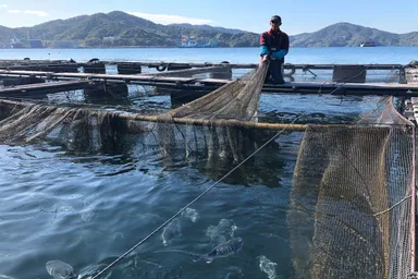 養殖場の様子