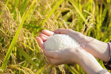 【埼玉県】フォトCP_05