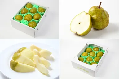 商品画像・カットイメージ