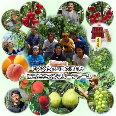 アンスリーファーム従業員