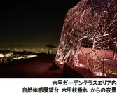 自然体感展望台 六甲枝垂れ からの夜景