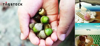 「TAGSTOCK」バナー