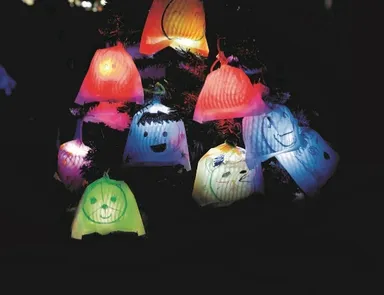 ひかりの実（イメージ）