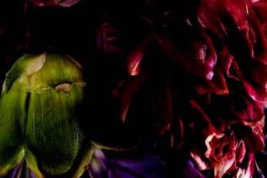 東信氏リリースビジュアル