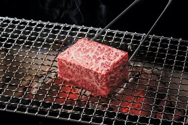 スペシャルディナーコース