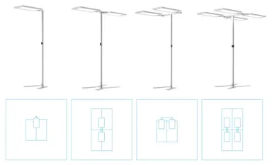バイリーション