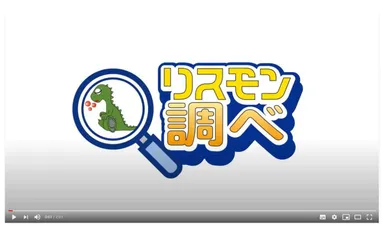 リスモン調べ動画キャプチャ