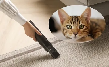 【利用シーン】フローリング