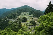 東みよし町 世界農業遺産に認定された傾斜地集落