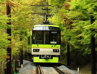 新緑の「もみじのトンネル」を走る「青もみじきらら」