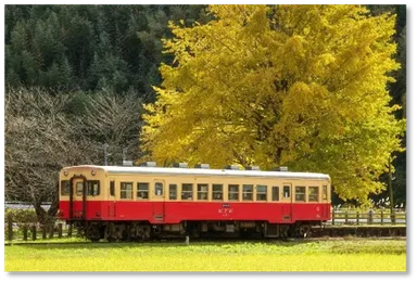 上総久保駅の大イチョウ