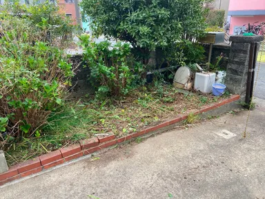 駐車場の植木 After