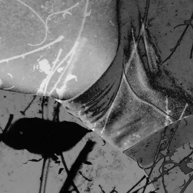 細倉 真弓「NEW SKIN #37-1」(2019) (C)Mayumi Hosokura