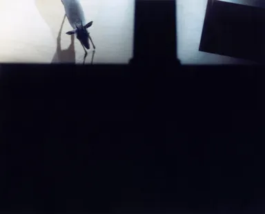 春木 麻衣子「A certain composition of eyes 04」(2014) (C)Maiko Haruki Courtesy of TARO NASU