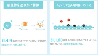 ナノ銀機能画像