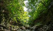 奈良吉野の美しい自然 1