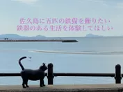 佐久島に鉄猫を5匹飾りたい