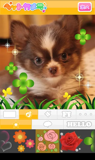 ペットカメラ 2