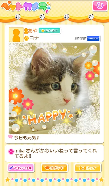 ペットカメラ 3