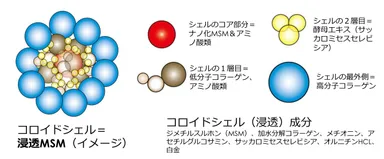 浸透MSMは、複合成分がコロイドシェルに