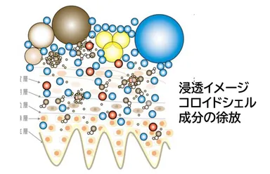 浸透MSMで肌内部への有効成分放出