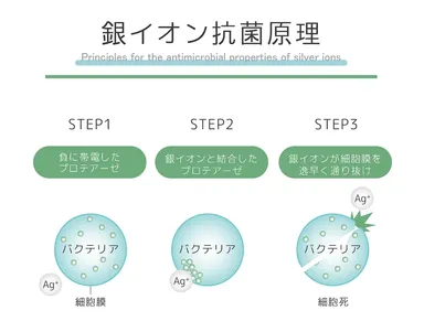 銀イオン効果の原理
