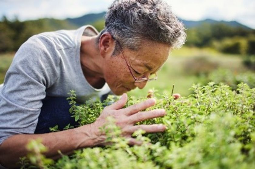大地にやさしい農家を応援するSHARE THE LOVE for JAPAN　
「先駆者の言葉」にハーブ栽培の第一人者　
石井 智子さん(神奈川県相模原市)が登場